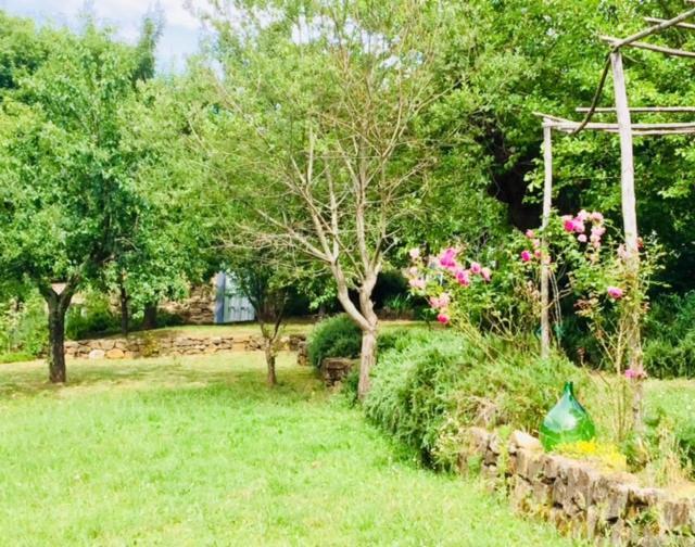 Il Capriolo Villa San Cerbone Kültér fotó