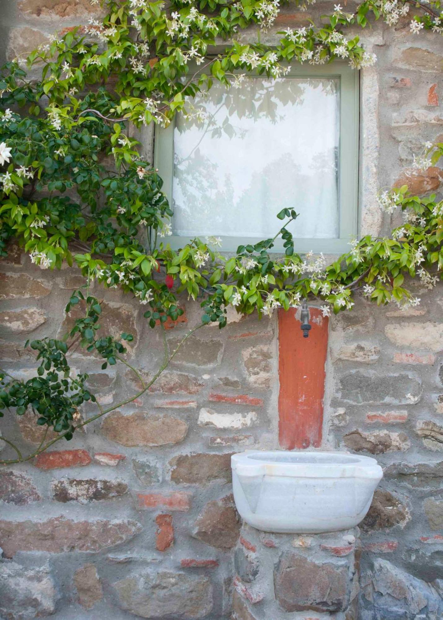Il Capriolo Villa San Cerbone Kültér fotó