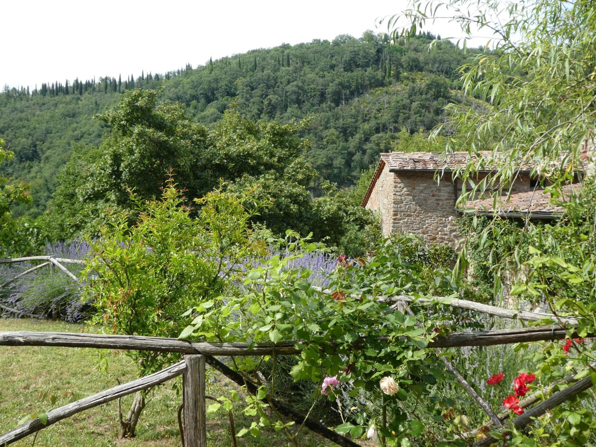 Il Capriolo Villa San Cerbone Kültér fotó