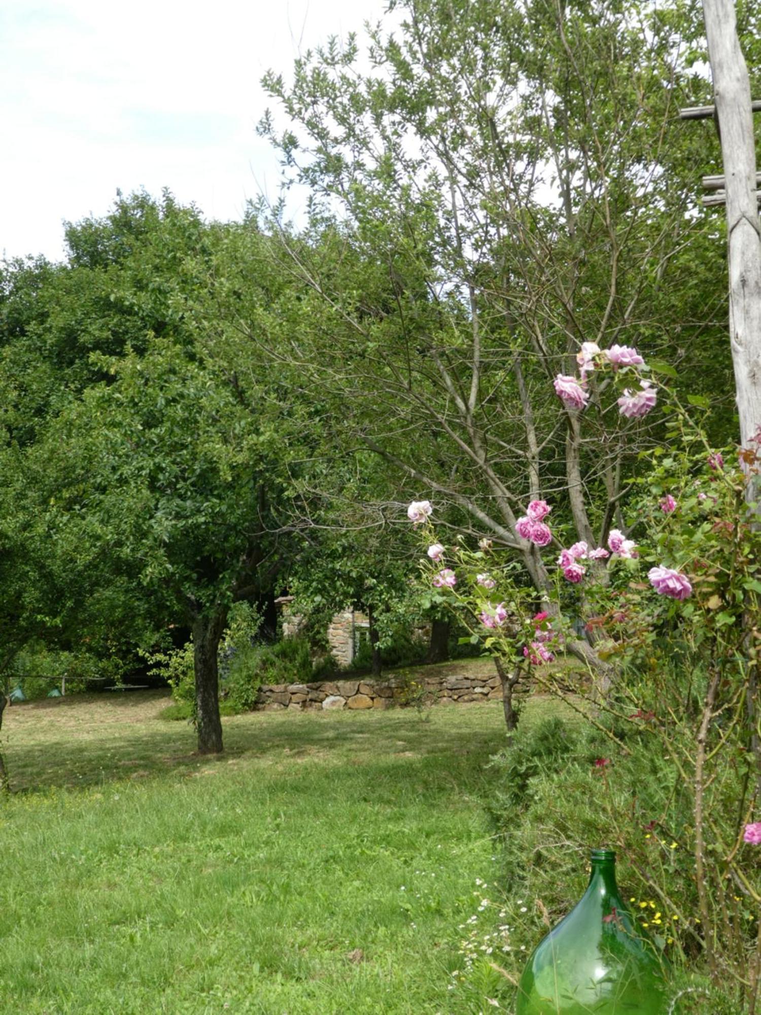 Il Capriolo Villa San Cerbone Kültér fotó
